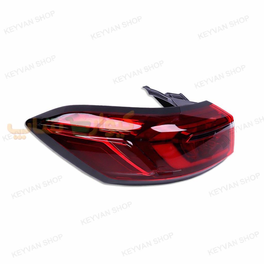 ChatGPT-Image-Feb-24-2026-02_53_39-PM.png
